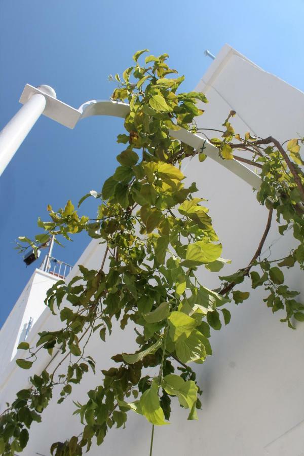 L'Angolo Di Ostuni - Home&Terracex4 Exterior photo